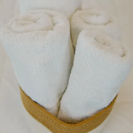 شقة فندقية Iris Garden *